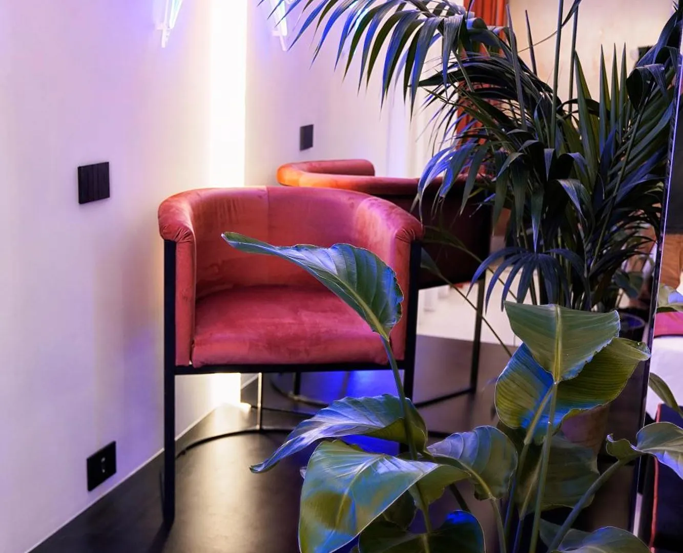Bed & Breakfast Kind Places - Suite Experience Naples Italy